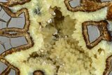 Wide, Crystal Filled Septarian Geode Bookends - Utah #167886-3